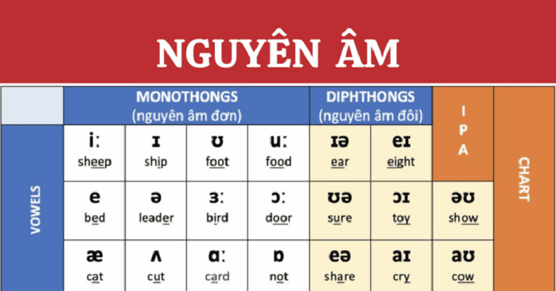 Phiên âm IPA - các nguyên âm cần nắm rõ