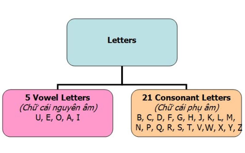 Bảng chữ cái được chia thành hai nhóm chính là nguyên âm và phụ âm